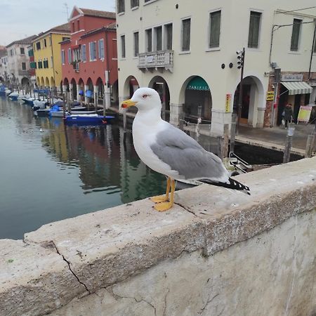 Bed and Breakfast Ca' Dell'Angelo Chioggia Zewnętrze zdjęcie